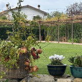Flower Pot In Night Blue