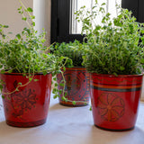 Flower Pot No. 1