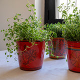 Flower Pot No. 6